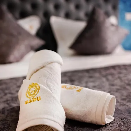 Radu Apartament * אפורי נורד